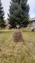 kegeln_2023
