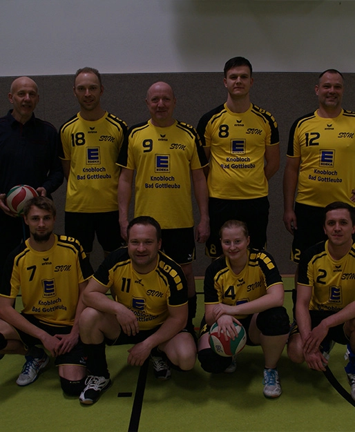 allgemein volleyball
